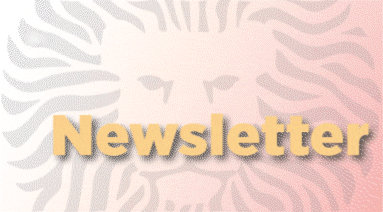 Newsletter - Coordinación de Internacionalización (CI)